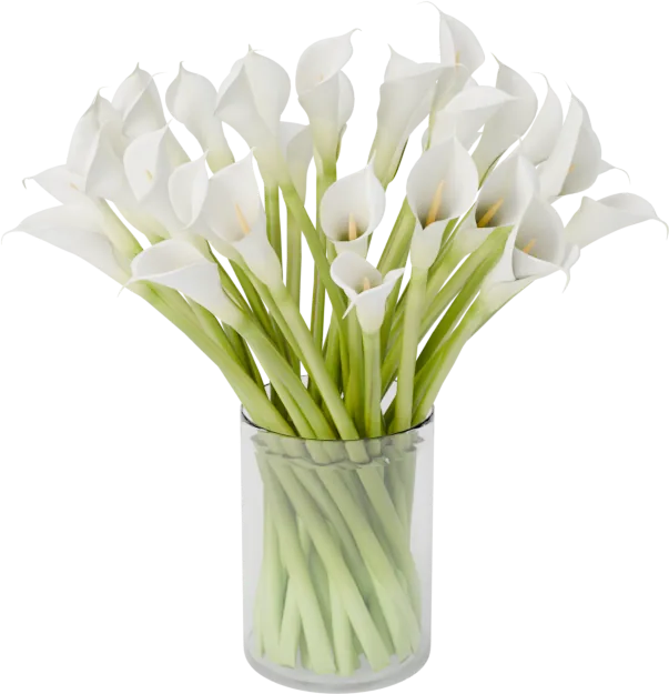 Calla lilies