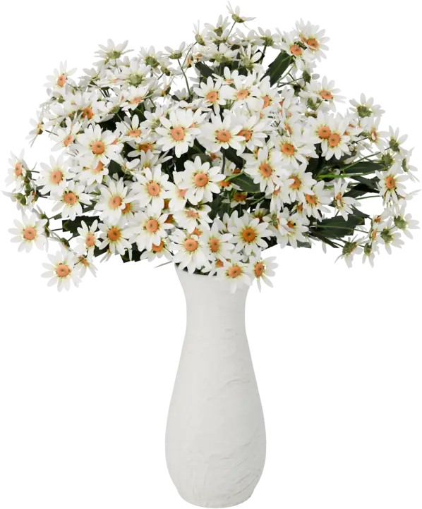 Daisies