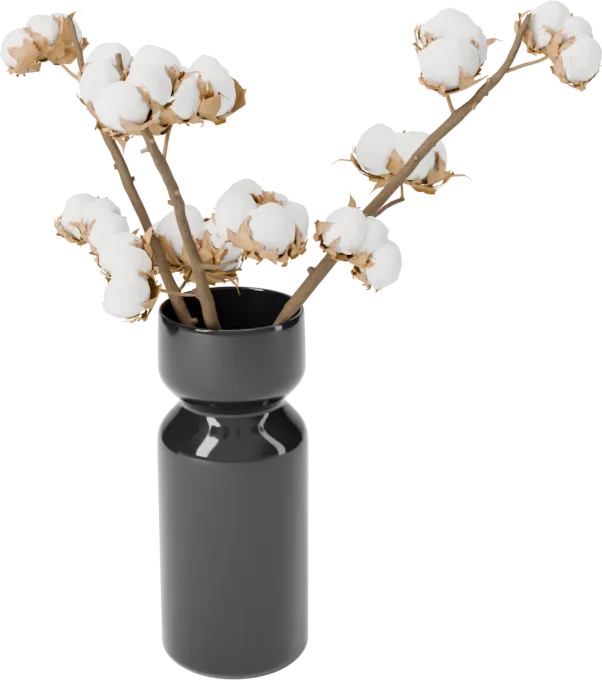 Cotton