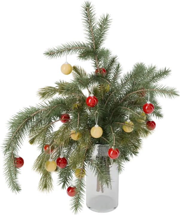 Fir branches