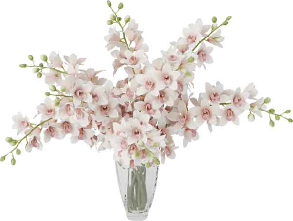 Orchid