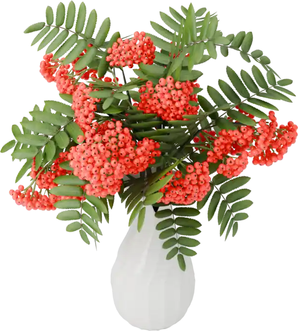 Rowan berries