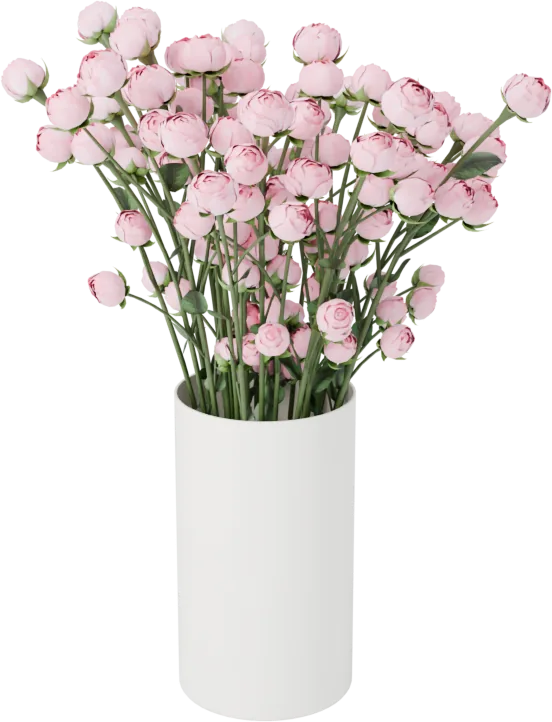 Spray roses
