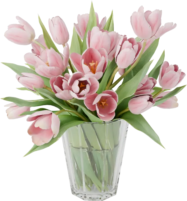 Tulips