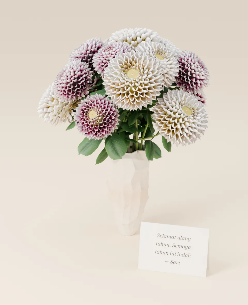 Dahlia dalam vas putih